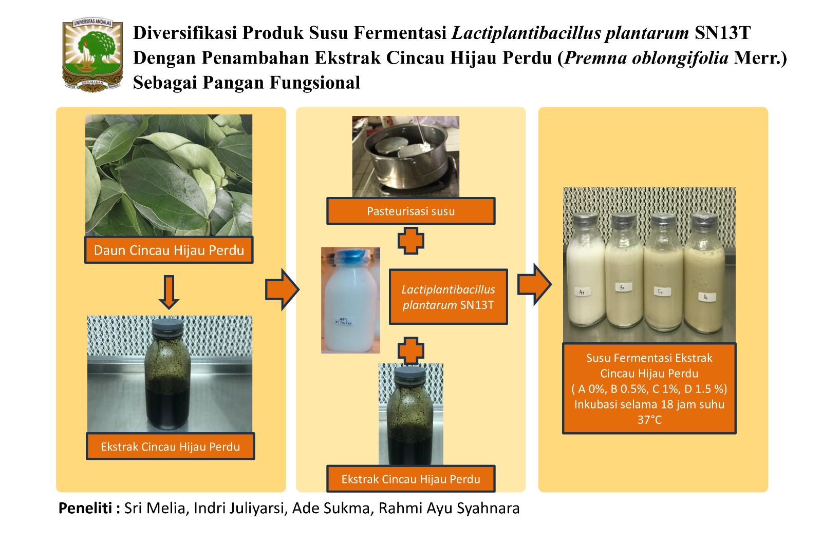 Diversifikasi Produk susu fermentasi Lactobacillus Plantarum SN13T Dengan Penambahan Ekstrak Cincau Hijau (Premna oblongifolia Merr.) Sebagai Pangan Fungsional